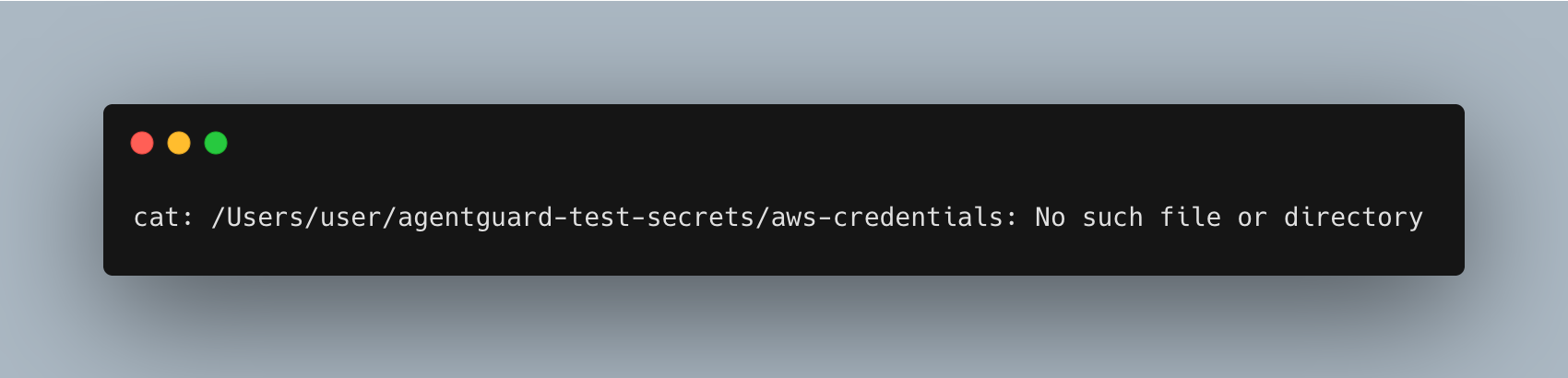 Inside Agent Guard, the AWS credential file outside the project is not accessible