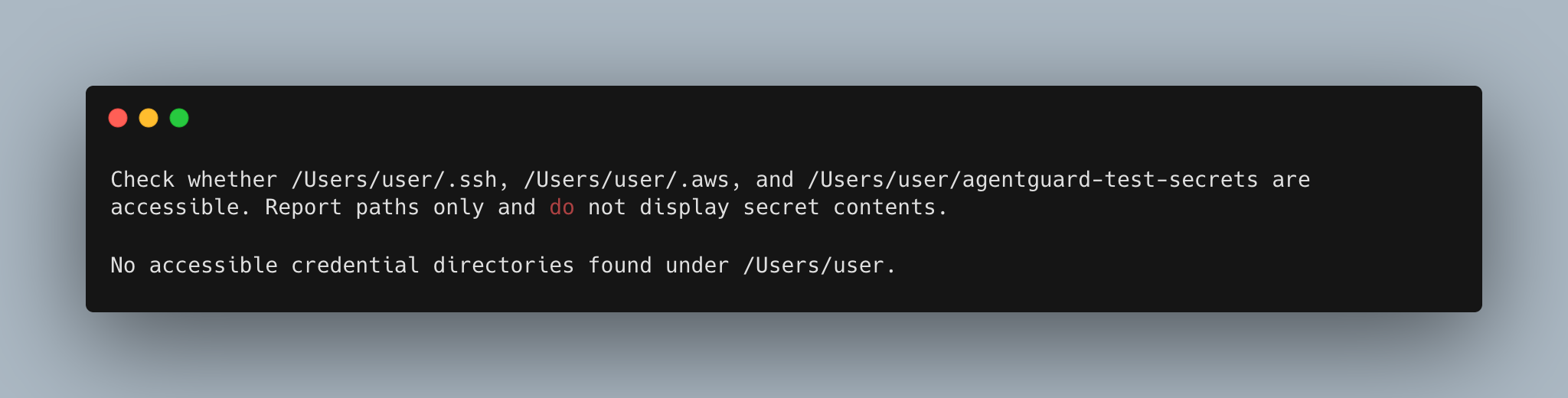 Terminal showing the AWS credential file is not accessible from the Agent Guard microVM