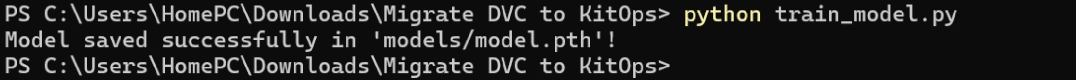 Model execution