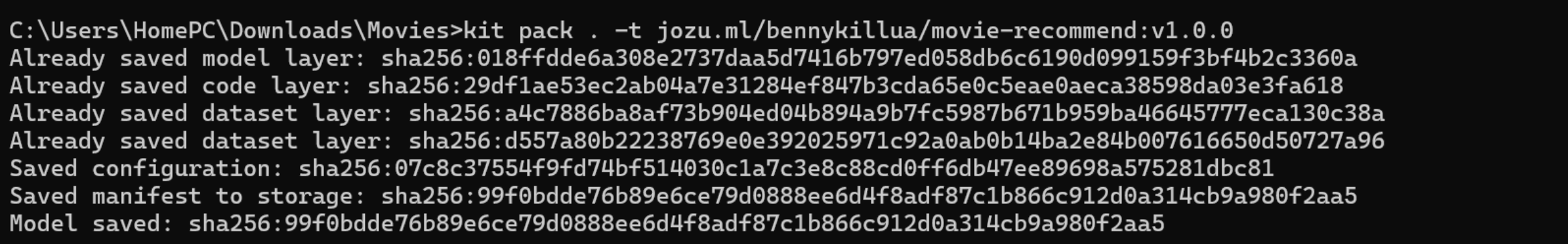 Verifying your packaged ModelKit files