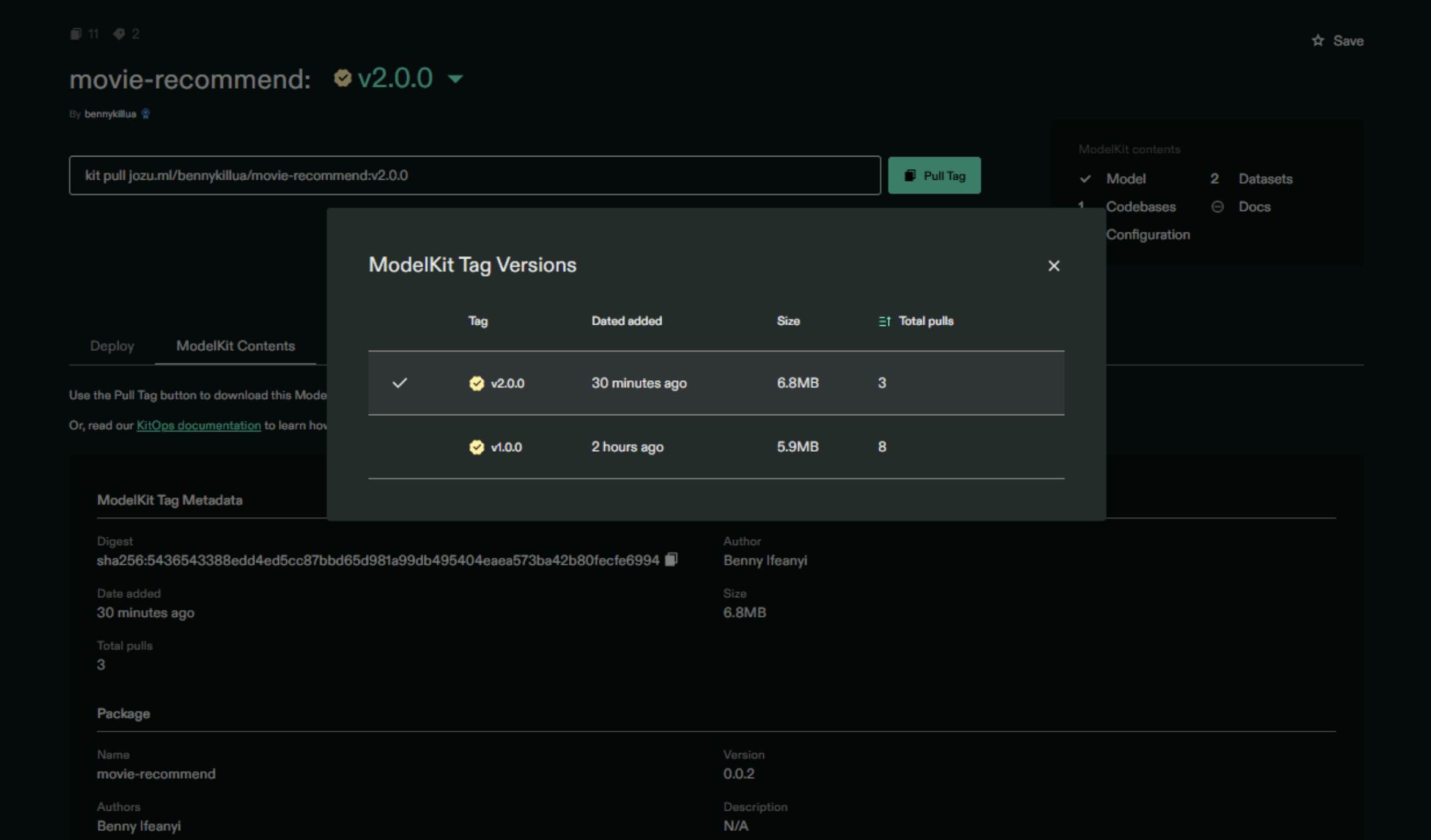 Version history in Jozu Hub