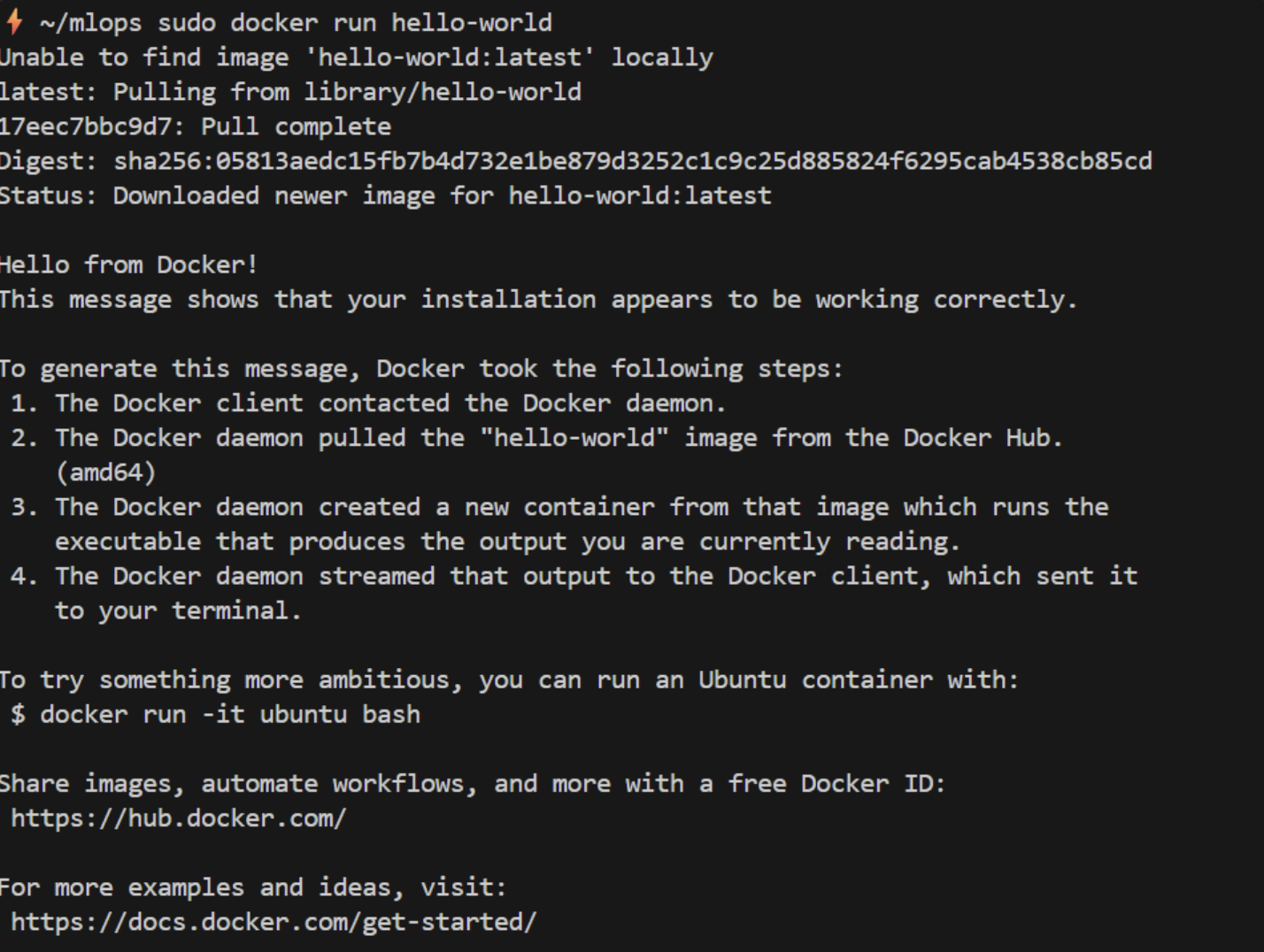 Screenshot 2026-02-01 193526